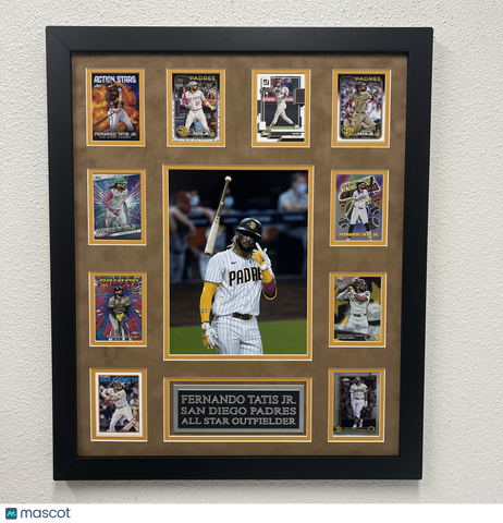 Fernando Tatís Jr 10-Card Custom Display Frame San Diego Padres
