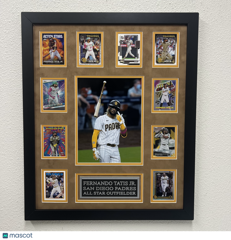 Fernando Tatís Jr 10-Card Custom Display Frame San Diego Padres