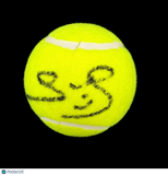 Yannick Noah Signed Tennis Ball PSA Autographed