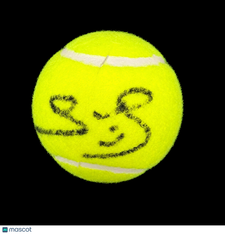 Yannick Noah Signed Tennis Ball PSA Autographed