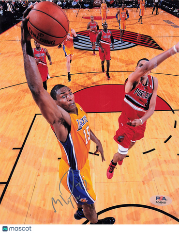 Ron Artest Los Angeles Lakers Signed Basketball 8x10 Photo PSA