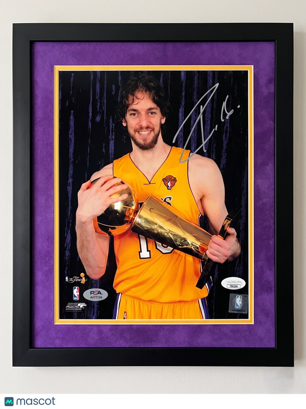 Pau Gasol Los Angeles Lakers Signed Basketball 8x10 Custom Framed Photo PSA