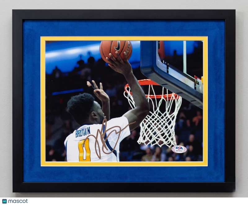 Jaylen Brown California Golden Bears Signed Custom Framed 8x10 Photo PSA