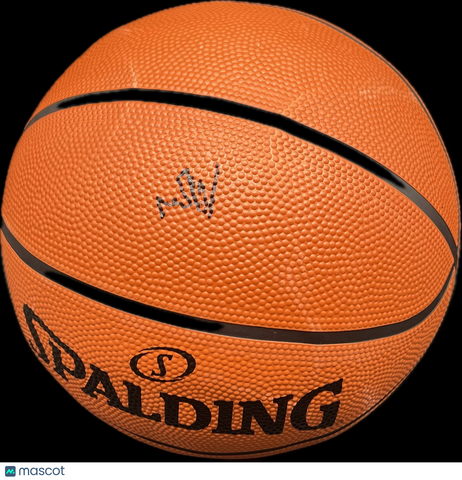 Will Riley Signed Basketball PSA Illinois Fighting Illini