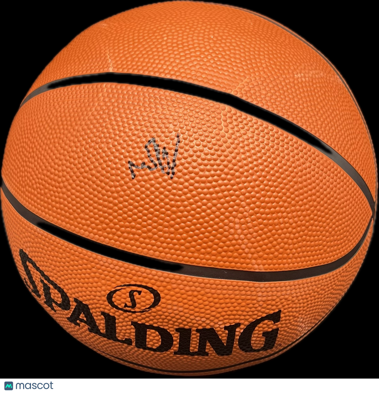 Will Riley Signed Basketball PSA Illinois Fighting Illini