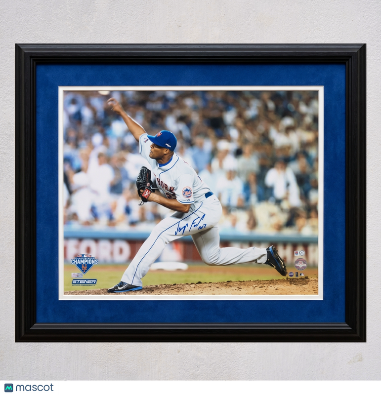 Jeurys Familia New York Mets Signed 16x20 Custom Framed Photo PSA