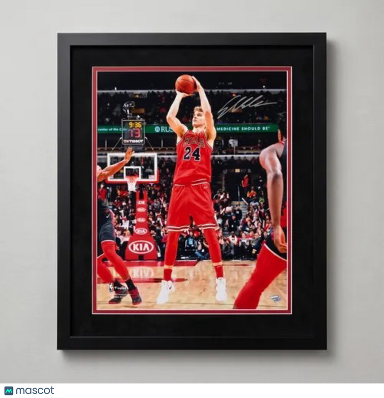Lauri Markkanen Chicago Bulls Signed Basketball 16x20 Custom Framed Photo PSA