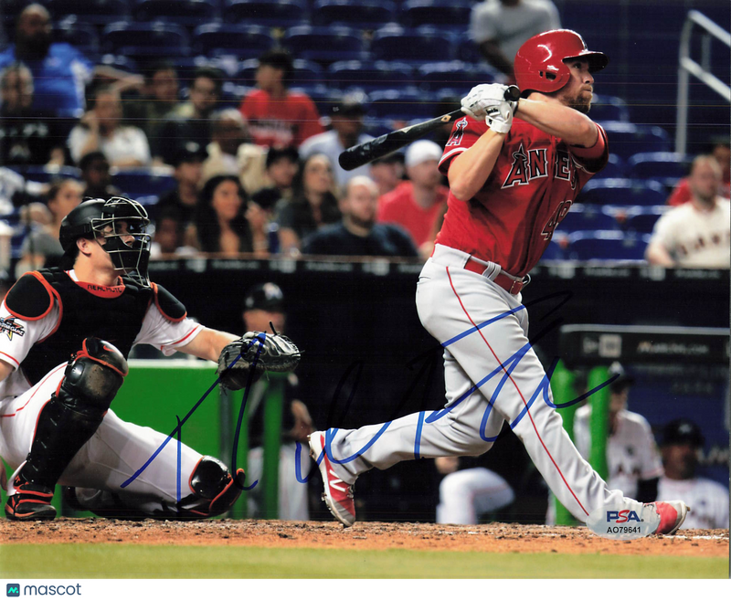 Nolan Fontana Los Angeles Angels Signed 8x10 Photo PSA