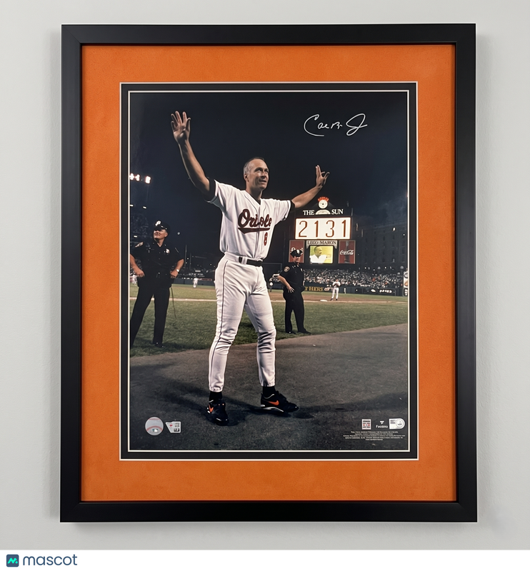 Cal Ripken Jr Orioles Signed 16x20 Custom Framed Photo Fanatics Authentic