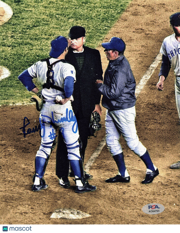 Randy Hundley Chicago Cubs Signed 8x10 Photo PSA