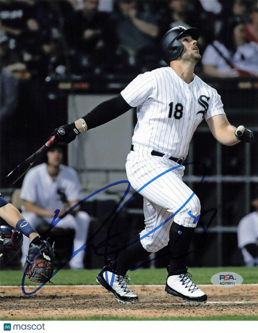 Daniel Palka Chicago White Sox Signed 8x10 Photo PSA