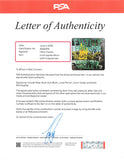 Filthy Friends Signed Emerald Valley Vinyl PSA