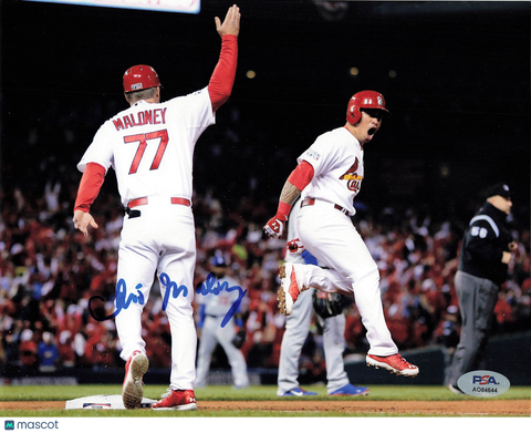 Chris Maloney St. Louis Cardinals Signed 8x10 Photo PSA