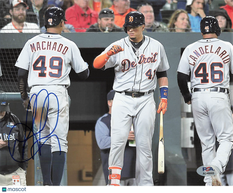 Dixon Machado Detroit Tigers Signed 8x10 Photo PSA