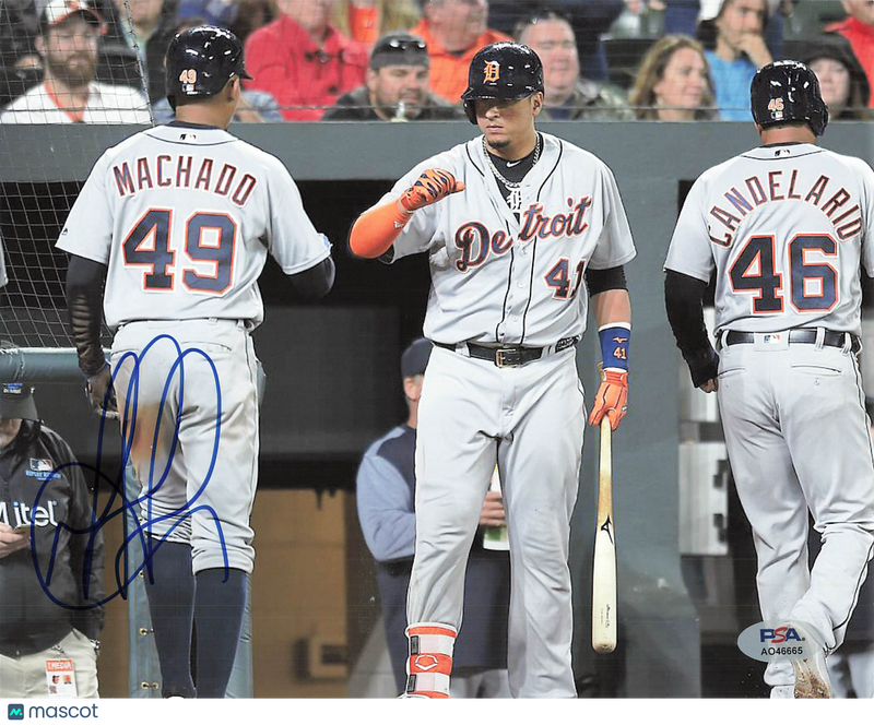 Dixon Machado Detroit Tigers Signed 8x10 Photo PSA