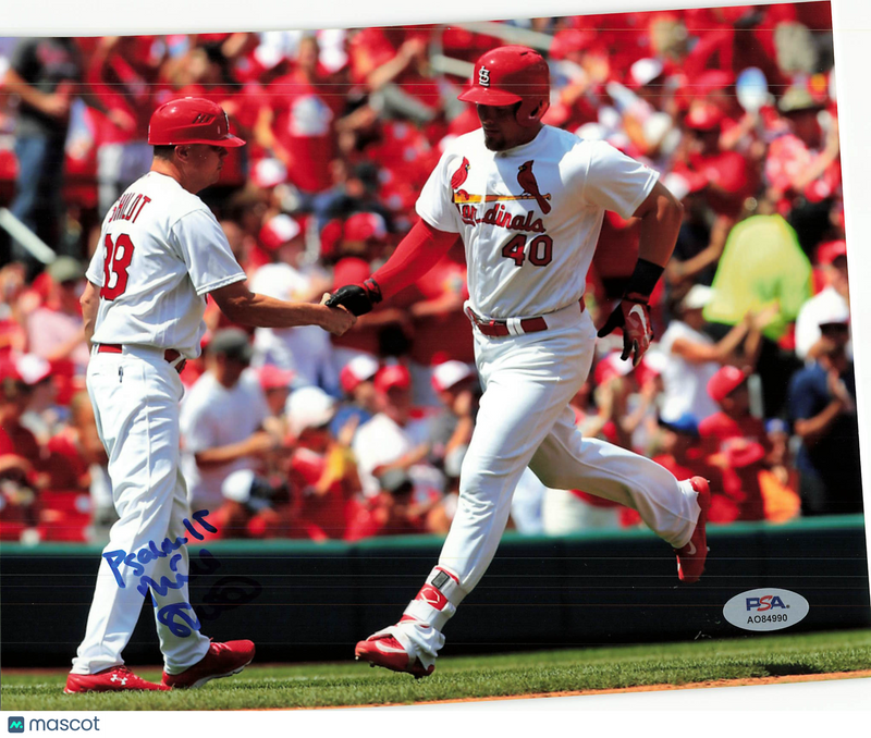Mike Shildt St. Louis Cardinals Signed 8x10 Photo PSA