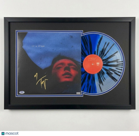 Troye Sivan Signed In a Dream Vinyl Custom Framed Album PSA Autographed
