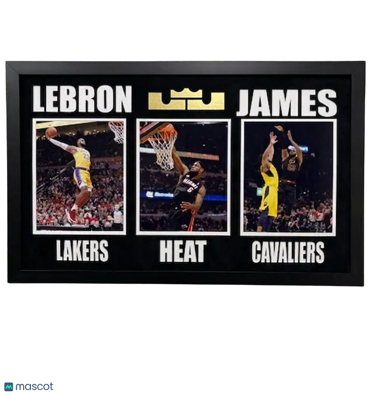 LeBron James Signed Custom Framed "20x32" Display Basketball Frame