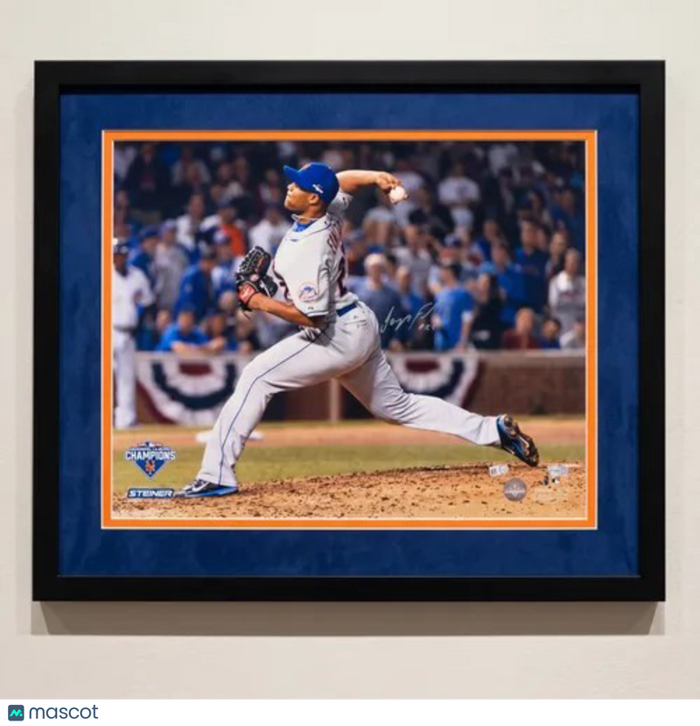 Jeurys Familia New York Mets Signed 16x20 Custom Framed Photo Fanatics Authentic