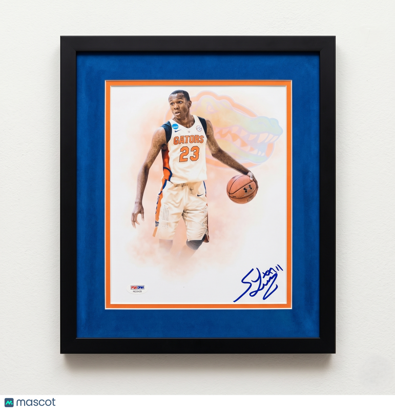 Scottie Lewis Signed 8x10 Photo Custom Framed PSA/DNA Florida Gators Autographed