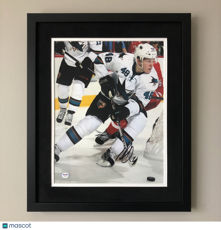 Tomas Hertl Signed Hockey 11x14 Custom Framed Photo PSA Autographed