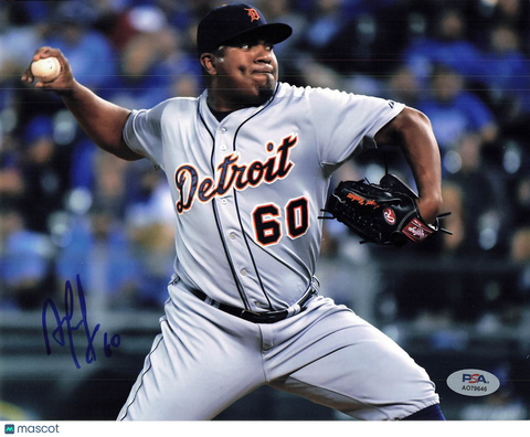 Angel Nesbitt Detroit Tigers Signed 8x10 Photo PSA