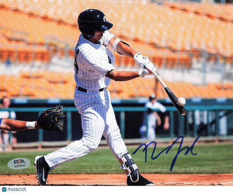 Seby Zavala Chicago White Sox Signed 8x10 Photo PSA