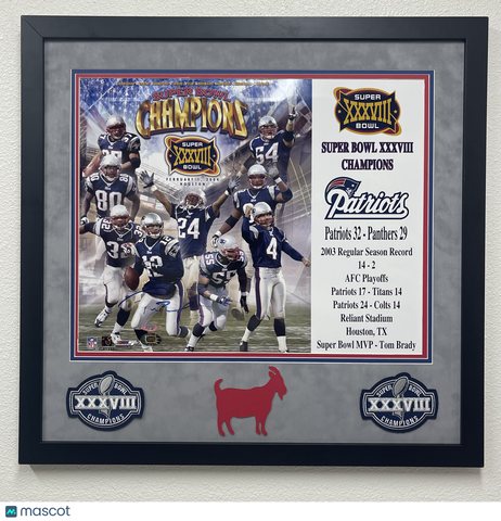 Tom Brady Signed Custom Framed 16x20 Photo PSA Patriots