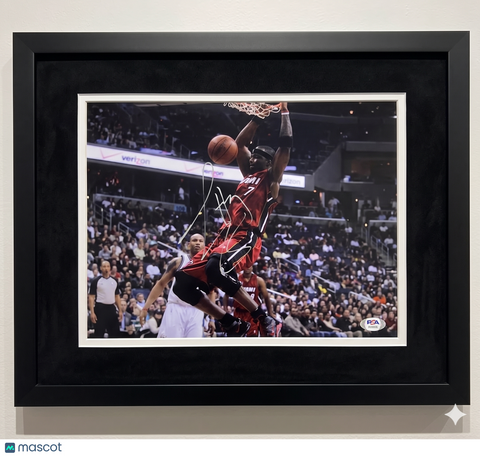 Jermaine O'Neal Miami Heat Signed Basketball 11x14 Custom Framed Photo PSA