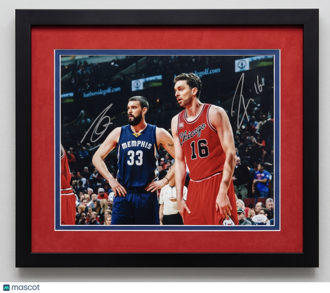 Pau Gasol and Marc Gasol Bulls & Grizzlies Signed 11x14 Custom Framed Photo JSA