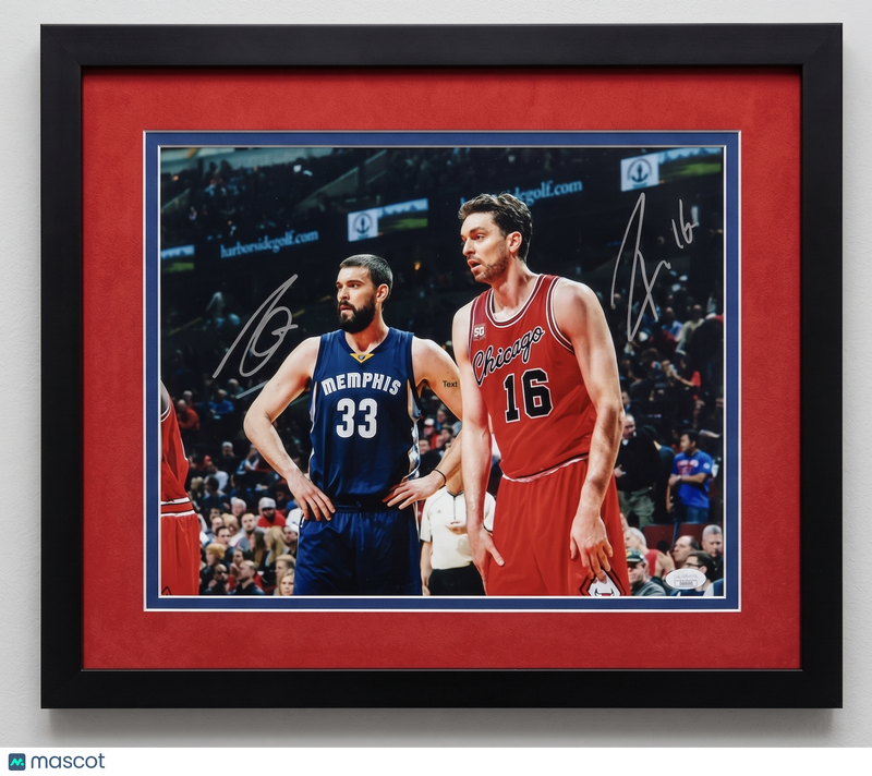 Pau Gasol and Marc Gasol Bulls & Grizzlies Signed 11x14 Custom Framed Photo JSA