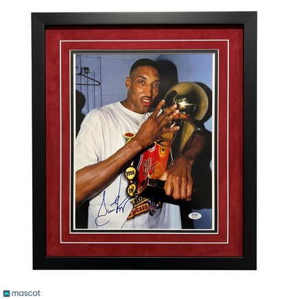 Scottie Pippen Chicago Bulls Signed Basketball 8x10 Custom Framed Photo PSA