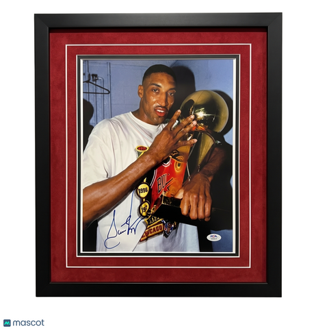 Scottie Pippen Chicago Bulls Signed Basketball 8x10 Custom Framed Photo PSA