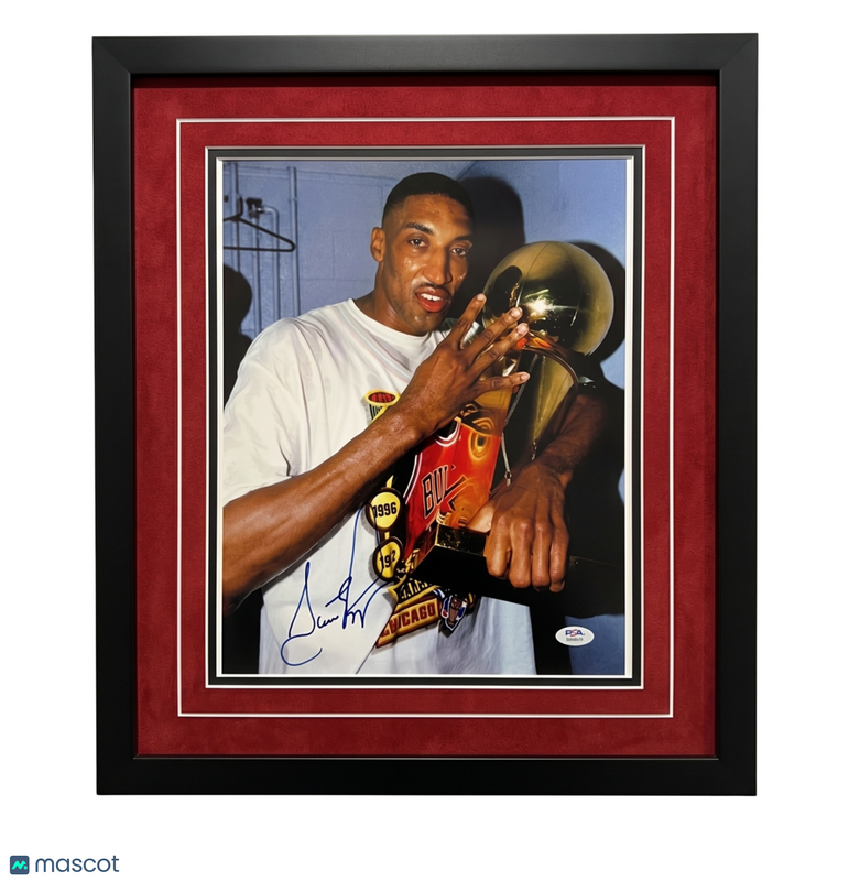 Scottie Pippen Chicago Bulls Signed Basketball 8x10 Custom Framed Photo PSA
