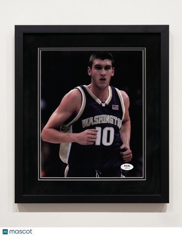 Spencer Hawes Washington Huskies Signed 8x10 Custom Framed Photo PSA Auth