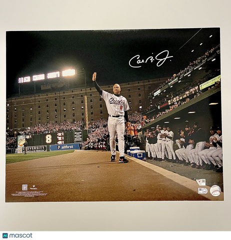 Cal Ripken Jr. Signed 16x20 Photo Fanatics Authentic Baltimore Orioles