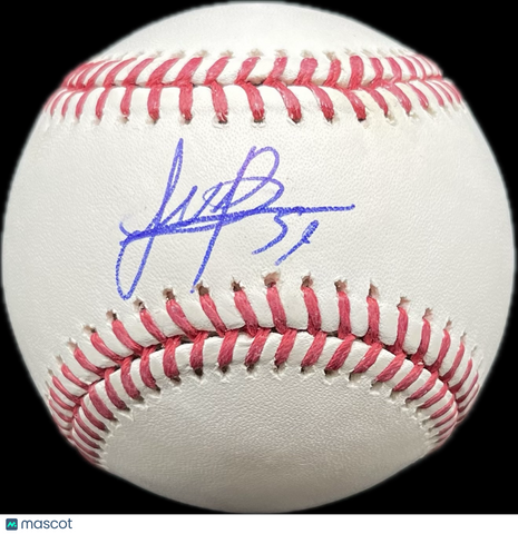 Framber Valdez Signed Baseball MLB PSA