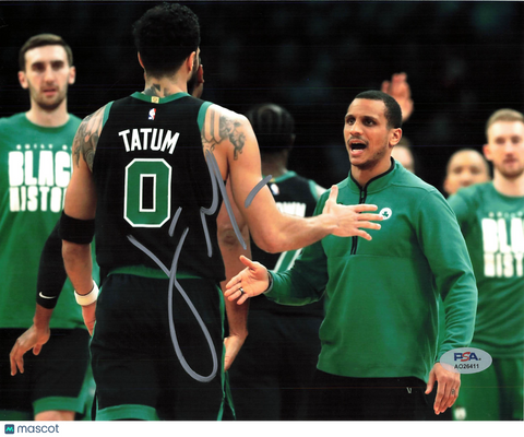 Joe Mazzulla Boston Celtics Signed Basketball 8x10 Photo PSA Auth