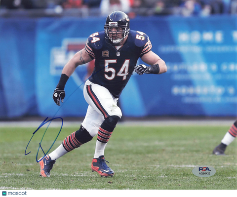 Brian Urlacher Signed Chicago Bears Football 8x10 Photo PSA Autographed