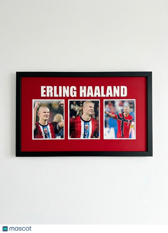 Erling Haaland Norway Soccer 3-Photo Display