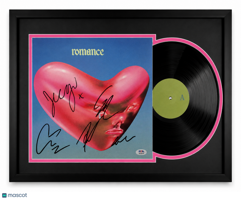 Fontaines D.C. Signed Framed Vinyl Cover Romance