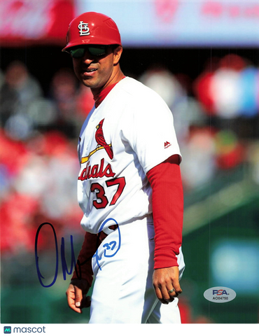 Oliver Marmol St. Louis Cardinals Signed 8x10 Photo PSA