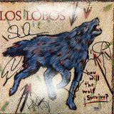 Steve Berlin, David Hidalgo, Louie Perez, Cesar Rosas Signed Vinyl Album PSA