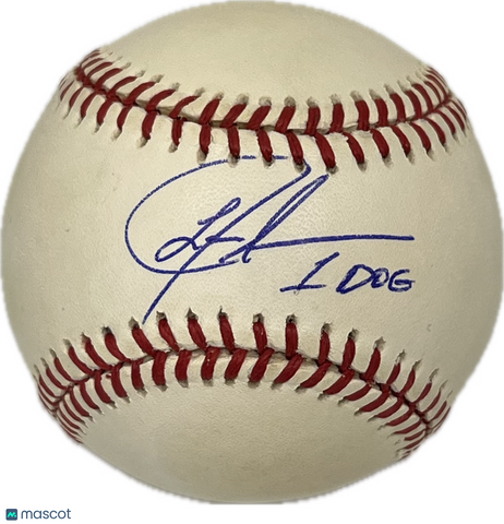 Lance Johnson Signed Baseball MLB PSA Autographed
