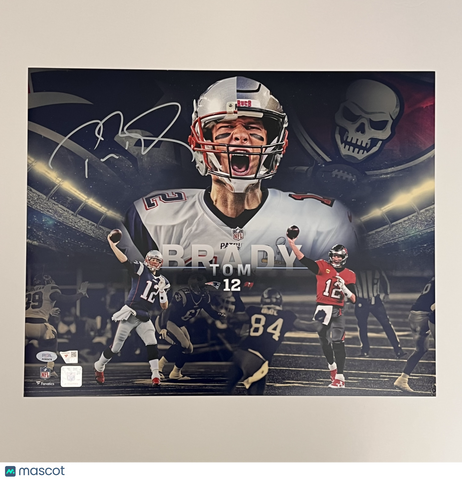 Tom Brady Signed New England Patriots Football 16x20 Photo PSA Autographed