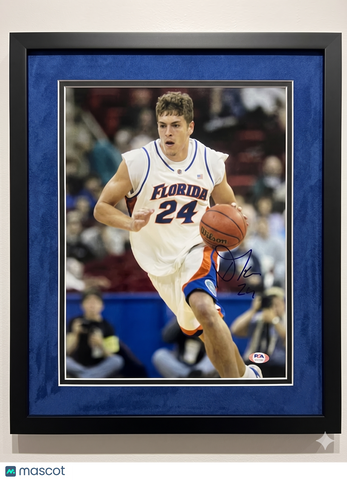 David Lee Florida Gators Signed Basketball 11x14 Custom Framed Photo PSA