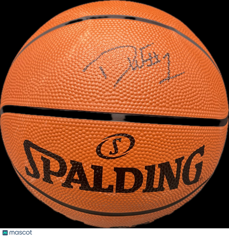 Danny Wolf  Signed Basketball PSA Michigan Wolverines