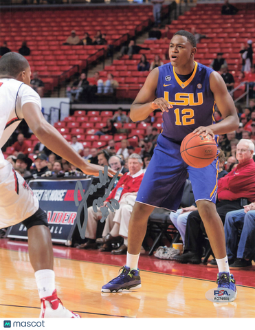 Jarell Martin LSU Tigers Signed Basketball 8x10 Photo PSA