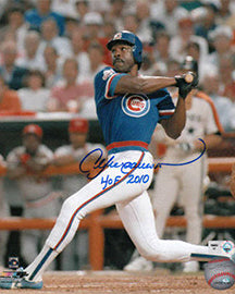 Andre Dawson portrait