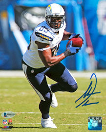 Antonio Gates portrait